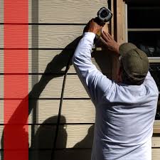 Professional Siding Installation in Mount Dora, FL